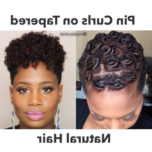 Curly Black Tapered Pixie Hairstyles (Photo 12 of 20)