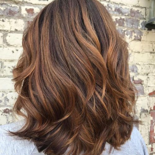 Warm Brown Hairstyles With Feathered Layers (Photo 7 of 20)