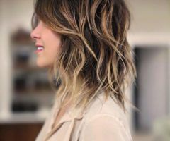 20 Ideas of Balayage Hairstyles for Shoulder-length Shag