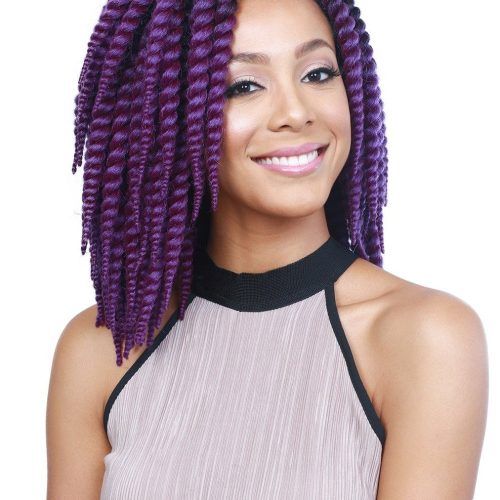 Skinny Braid Hairstyles With Purple Ends (Photo 5 of 20)