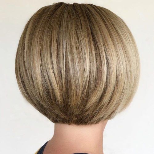 Rounded Sleek Bob Hairstyles With Minimal Layers (Photo 2 of 20)