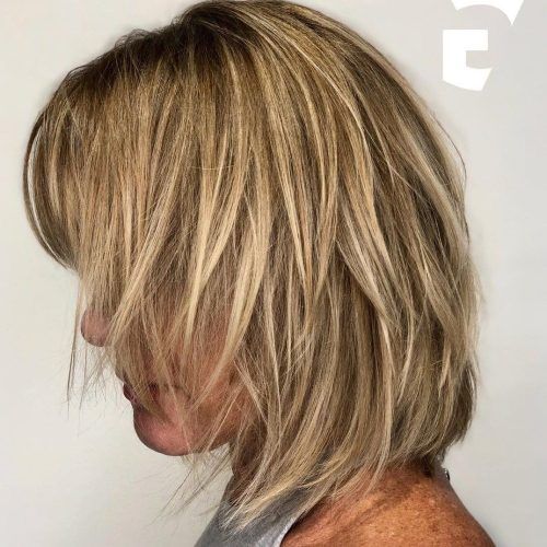 Bronde Shaggy Hairstyles With Feathered Layers (Photo 4 of 20)