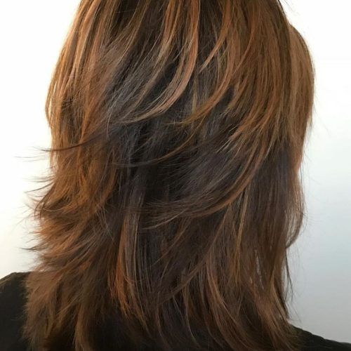 Warm Brown Hairstyles With Feathered Layers (Photo 16 of 20)