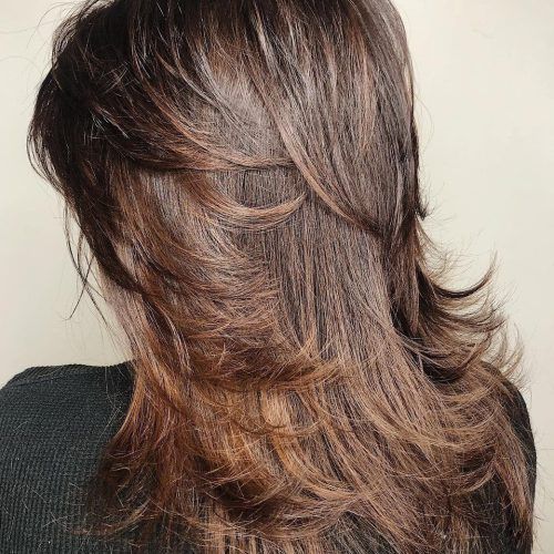 Long Haircuts With Feathered Face-Framing Layers (Photo 6 of 20)