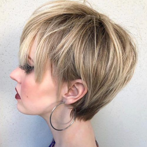 Long Pixie Hairstyles For Thin Hair (Photo 1 of 20)