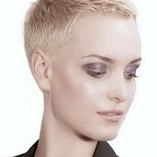 Tousled Pixie Hairstyles With Super Short Undercut (Photo 4 of 20)