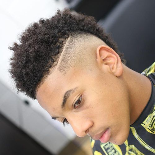 Most Recent Curly Faux Mohawk Hairstyles with Top 16 Gorgeous Guys Haircuts For Hard Curly Hair (Photo 277 of 292)