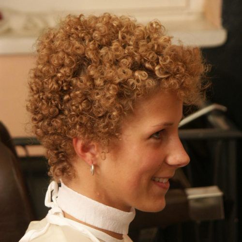 Pixie Haircuts With Tight Curls (Photo 1 of 20)
