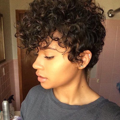 Pixie Mohawk Haircuts For Curly Hair (Photo 2 of 20)
