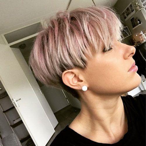 Pastel Pixie Hairstyles With Undercut (Photo 9 of 20)