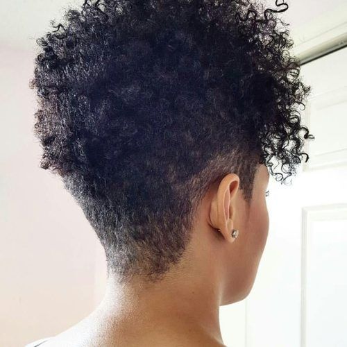 Tapered Pixie Hairstyles With Extreme Undercut (Photo 17 of 20)