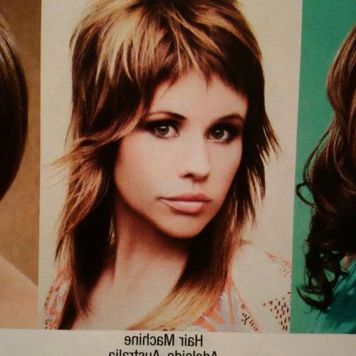 The 1970S Flick Shag Haircuts (Photo 4 of 20)