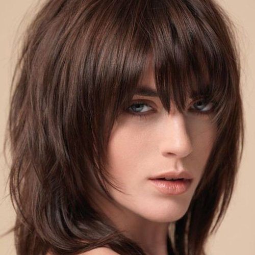 Layered Shaggy Hairstyles (Photo 1 of 20)