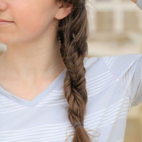 Double-Braided Single Fishtail Braid Hairstyles (Photo 5 of 20)