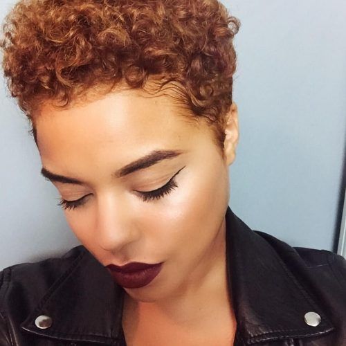 Tapered Brown Pixie Hairstyles With Ginger Curls (Photo 4 of 20)