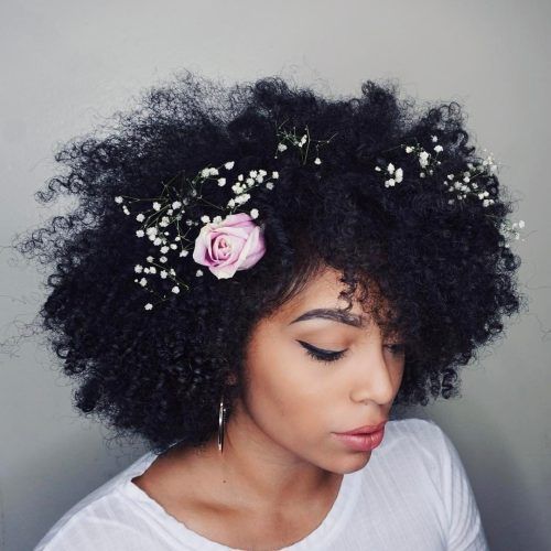 Wedding Hairstyles For Kinky Curly Hair (Photo 8 of 15)