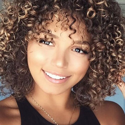 Brown Curly Hairstyles With Highlights (Photo 17 of 20)