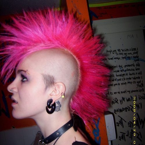 Pink And Purple Mohawk Hairstyles (Photo 10 of 20)