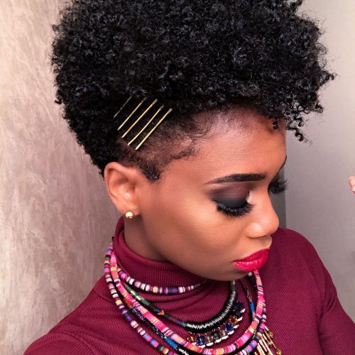 Fierce Mohawk Hairstyles With Curly Hair (Photo 5 of 20)