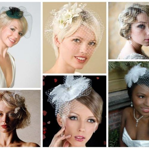 Wedding Hairstyles For Short Hair With Birdcage Veil (Photo 1 of 15)