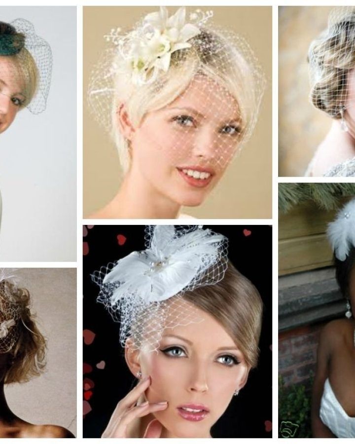 15 Best Wedding Hairstyles for Short Hair with Birdcage Veil