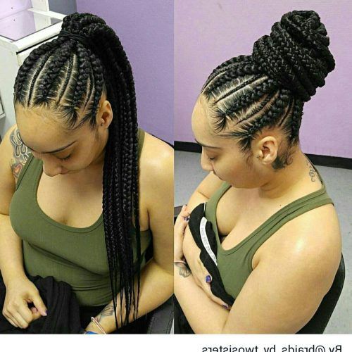 Fantastical French Braid Ponytail Hairstyles (Photo 15 of 20)
