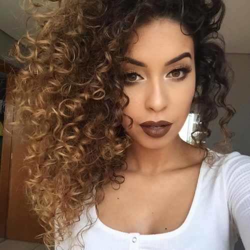 Brown To Blonde Ombre Curls Hairstyles (Photo 1 of 20)