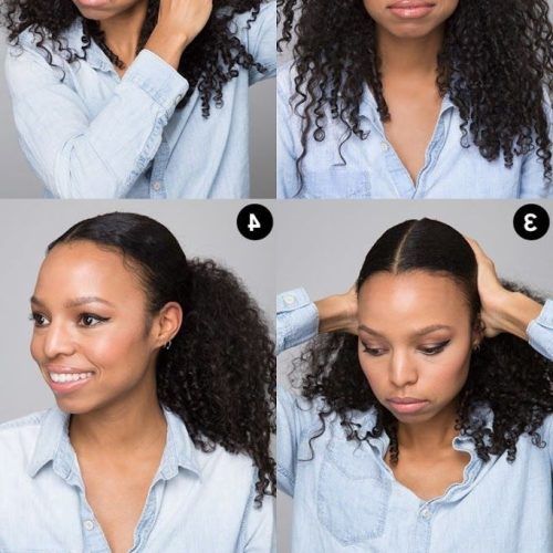 Asymmetrical Curly Ponytail Hairstyles (Photo 5 of 20)