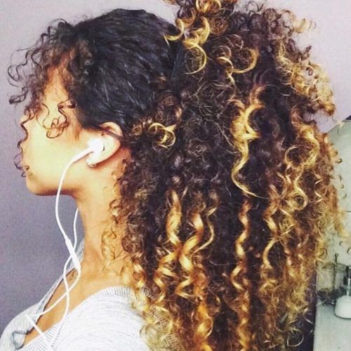 Ombre Curly Ponytail Hairstyles (Photo 3 of 20)