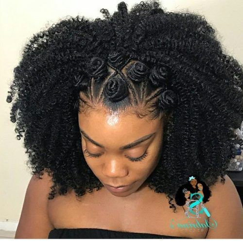 Braided Hairstyles For Naturally Curly Hair (Photo 11 of 15)