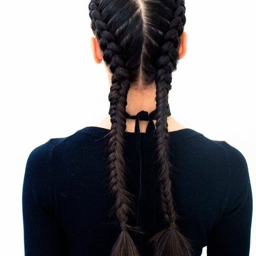 Intricate Boxer Braids Hairstyles (Photo 2 of 15)