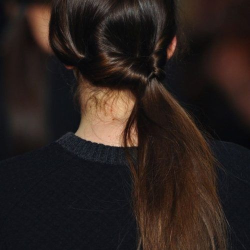 Long Classic Ponytail Hairstyles (Photo 11 of 20)