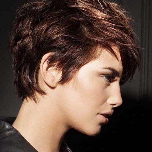 Brown Pixie Haircuts (Photo 3 of 20)