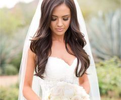 15 Ideas of Wedding Hairstyles Down with Veil