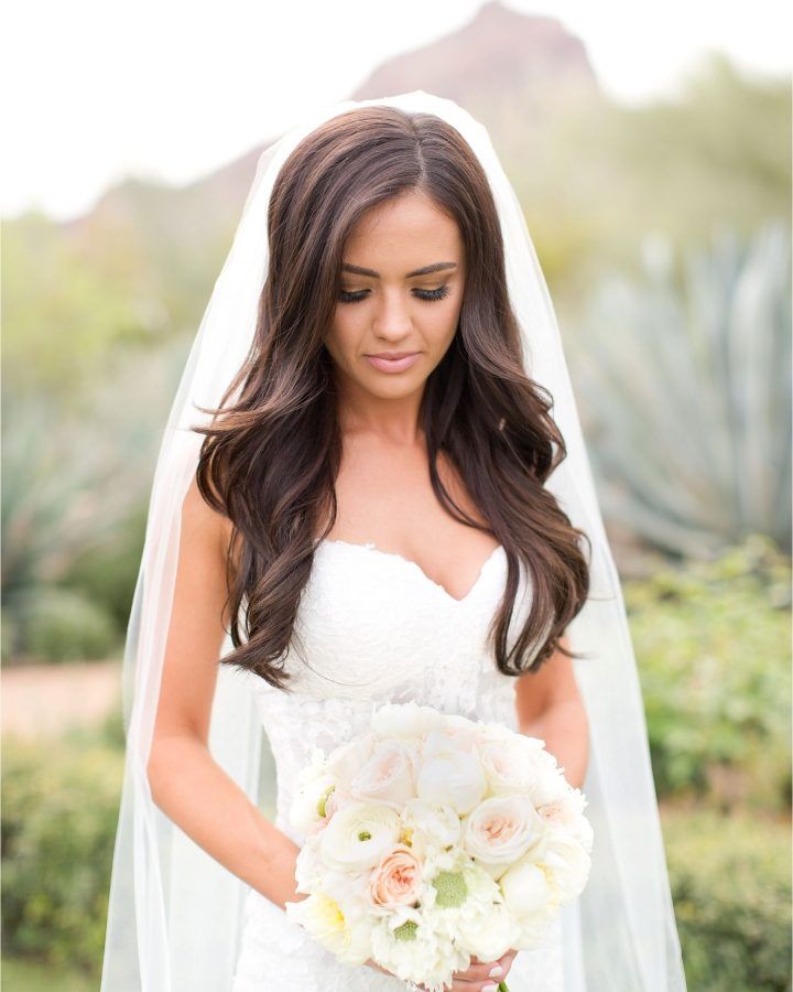 15 Ideas of Wedding Hairstyles Down with Veil