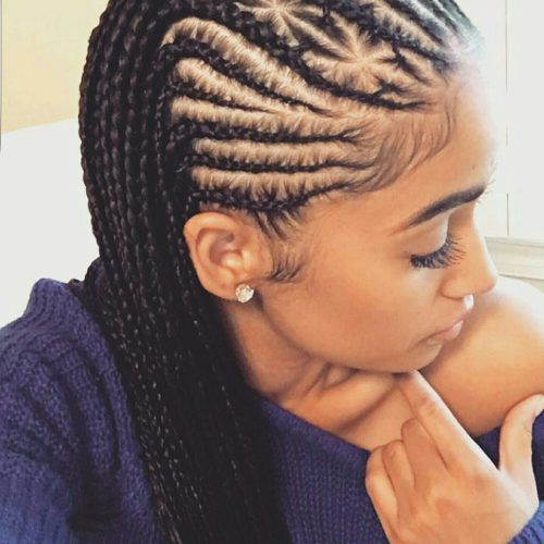 Micro Cornrows Hairstyles (Photo 4 of 15)