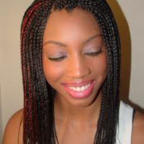 Micro Cornrows Hairstyles (Photo 6 of 15)