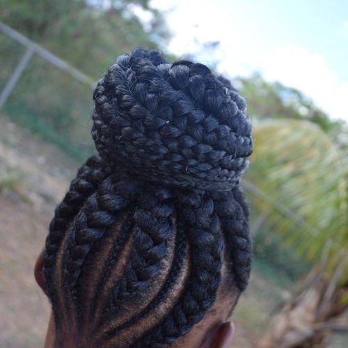 Big Updo Cornrows Hairstyles (Photo 6 of 15)