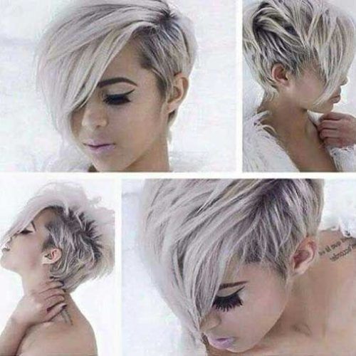 Silver And Brown Pixie Haircuts (Photo 7 of 15)