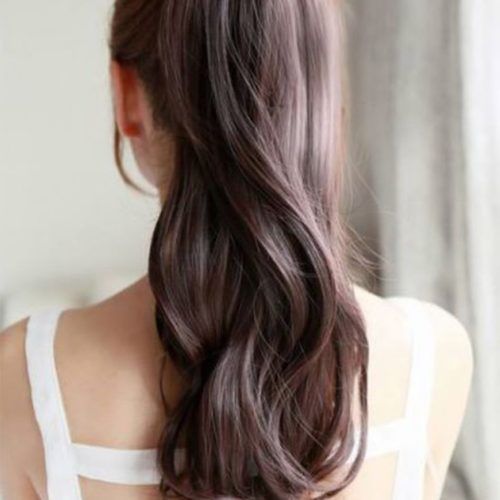 Long Brown Hairstyles With High Ponytail (Photo 5 of 20)
