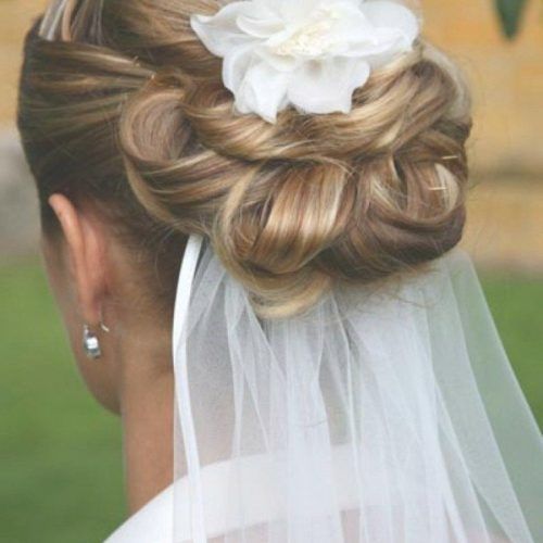 Wedding Hairstyles With Veil Underneath (Photo 2 of 15)