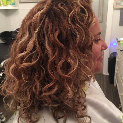 Natural Curls Hairstyles With Caramel Highlights (Photo 13 of 20)