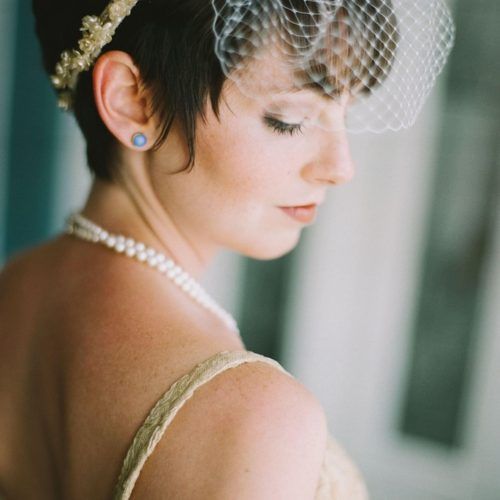 Wedding Hairstyles For Short Hair With Birdcage Veil (Photo 12 of 15)