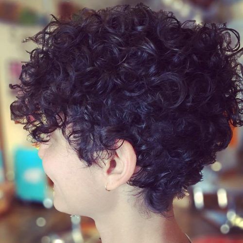 Pixie Haircuts With Large Curls (Photo 12 of 20)