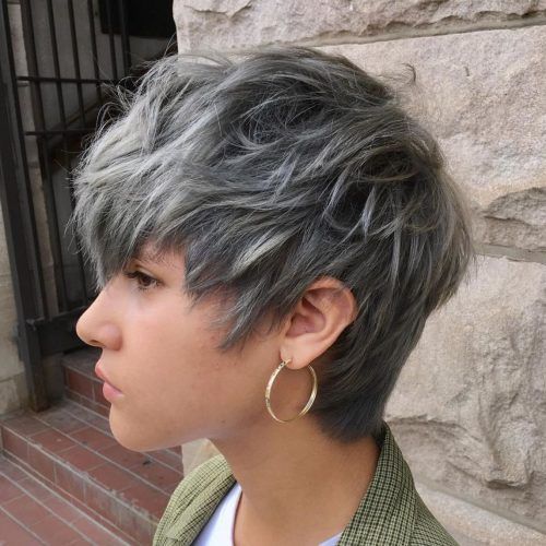 Gray Pixie Hairstyles For Thick Hair (Photo 19 of 20)