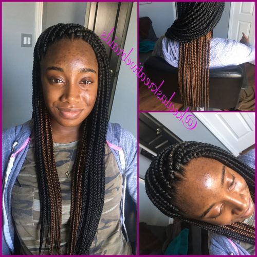 Poetic Justice Braids Hairstyles (Photo 6 of 15)