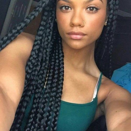 Poetic Justice Braids Hairstyles (Photo 3 of 15)