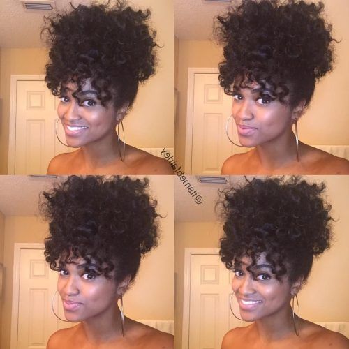 Natural Curly Pony Hairstyles With Bangs (Photo 2 of 20)