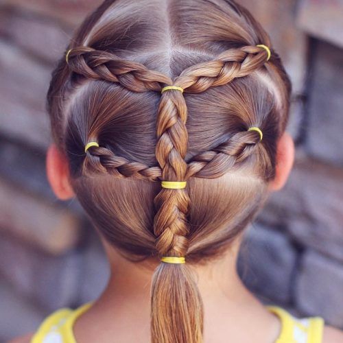 Long Braided Ponytail Hairstyles With Bouffant (Photo 5 of 20)