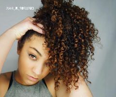 20 Best Highlighted Afro Curls Ponytail Hairstyles